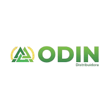 Odin